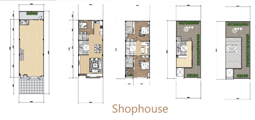Thiết kế Layout shophouse