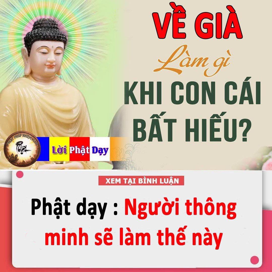 Về già không còn tự chăm sóc bản thân, con cái bất hiếu thì phải làm sao?