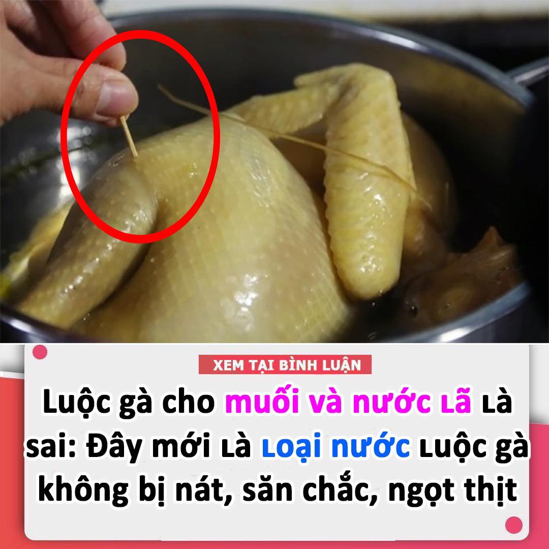 Luộc gà dùng muối với nước lã là sai: Đây mới là loại nước giúp thịt gà ngọt lừ, săn chắc