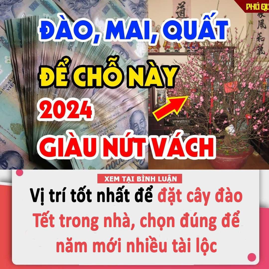 Vị trí tốt nhất để đặt cây đào Tết trong nhà, chọn đúng để năm mới nhiều tài lộc