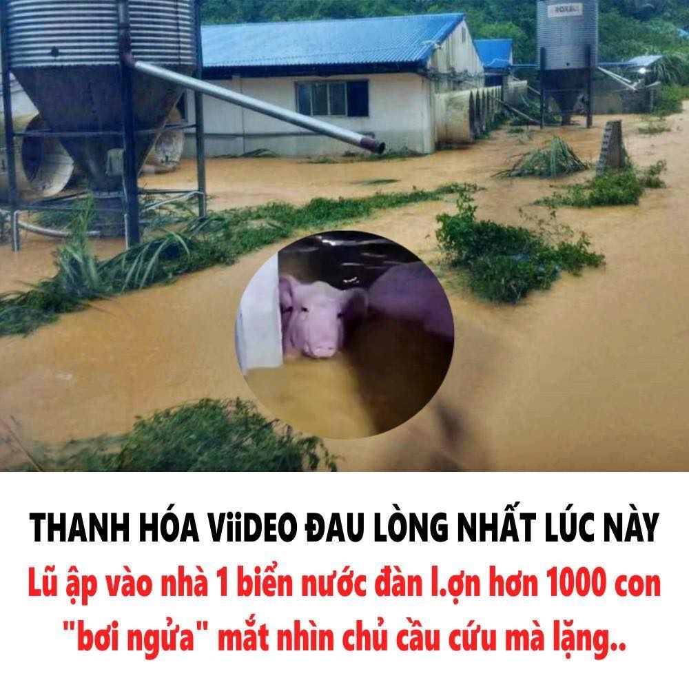 THANH HÓA VIDEO ĐAU LÒNG NHẤT LÚC NÀY!