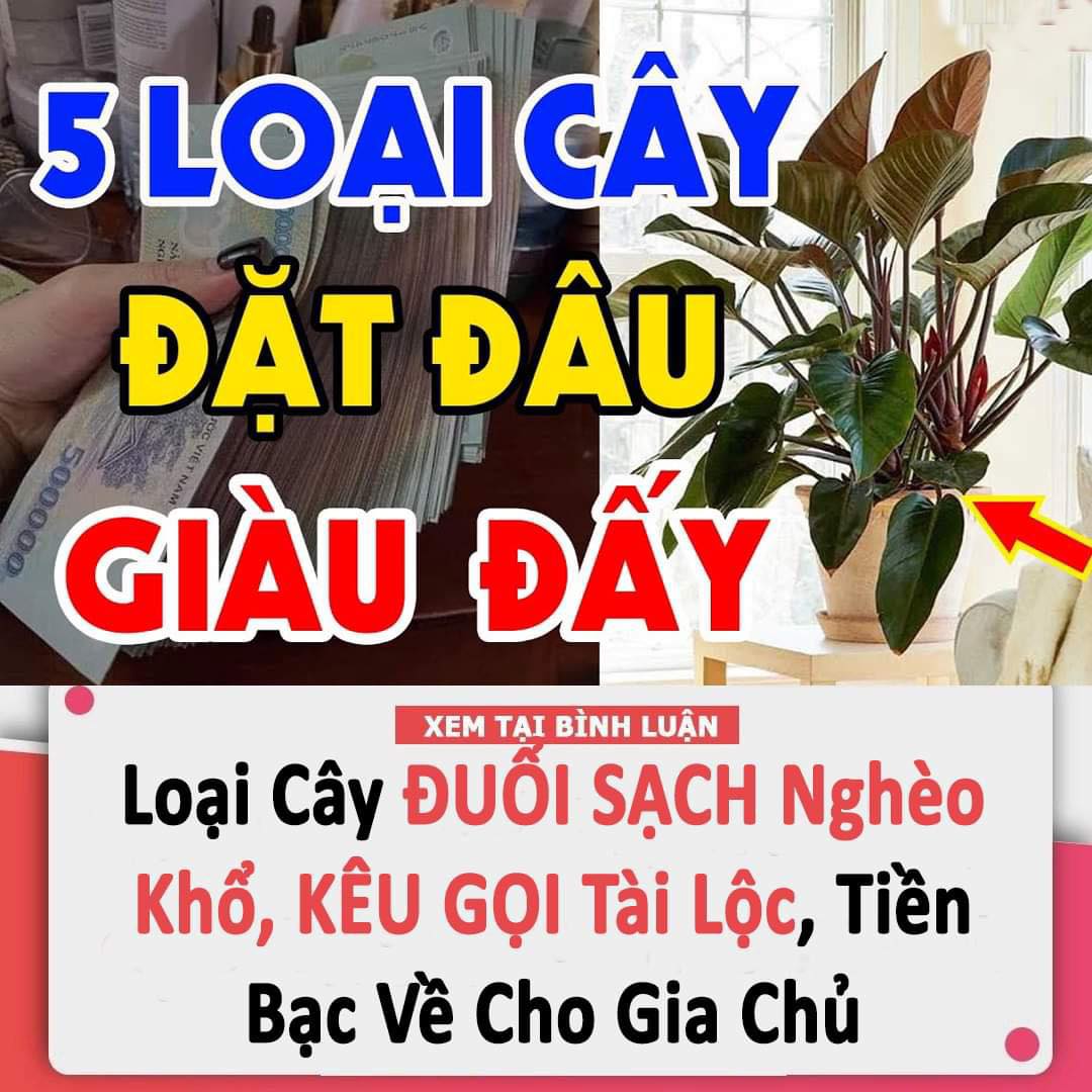 Chỉ cần có đường vân này trong lòng bàn tay, dù nam hay nữ vẫn giàu có, quyền lực, cả đời sung túc