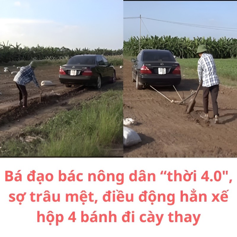 Bá đạo bác nông dân “thời 4.0″, sợ trâu mệt, điều động hẳn xế hộp 4 bánh đi cày thay