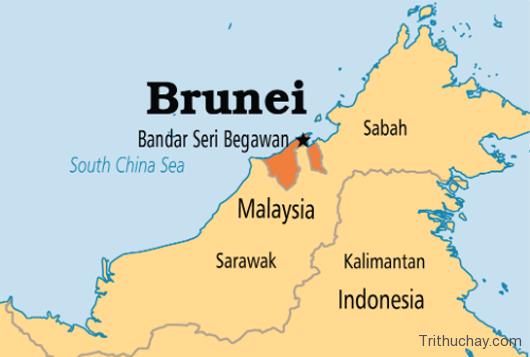 Bản đồ đất nước Brunei (Brunei Map) khổ lớn năm 2023