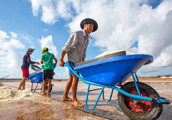 [Giải đáp] Diêm dân là gì? Nhọc nhằn đời diêm dân