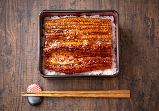 [Giải đáp] Unagi là gì? Tại sao Unagi lại đắt đỏ đến vậy?